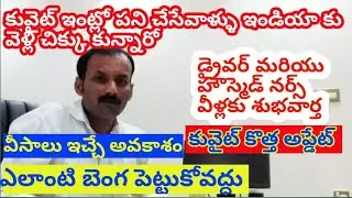 Kuwait open visa 2020|| kuwait visa update|| kuwait to india  india to kuwait