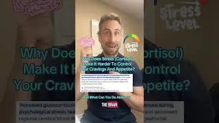 Brain Science - Why Stress Affects Appetite & Food Cravings #cortisol