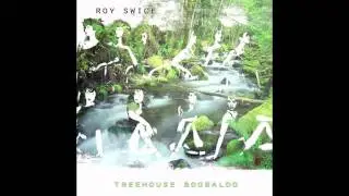 Roy Swice- Hydroplow