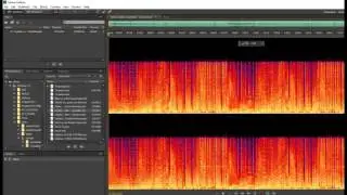 how to use adobe auditions spectogram