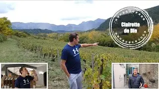Le Vignoble de Die ( Clairette de Die )