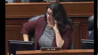 Rep. Tlaib to Census Bureau Director: Do I Look White To You?