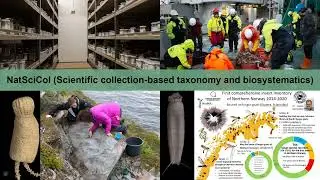 The portal of the Arctic University Museum of Norway, how to provide open access to collections