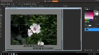 Cropping using the 'Rule of Thirds'