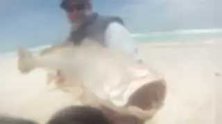 Monster Yalata Mulloway