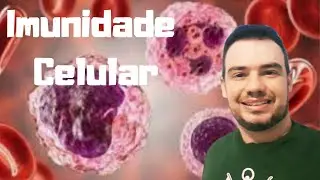 SISTEMA IMUNIT&Aacute;RIO - IMUNIDADE CELULAR | Biologia -  Prof. Raniere Aguiar