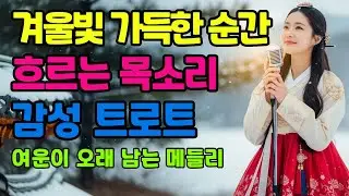 ❄️ 겨울빛 가득한 순간 흐르는 목소리ㅣ계속 듣게 되는 감성 트로트 메들리ㅣ애절한 트로트ㅣ최신 트로트 모음