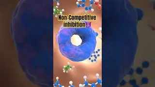 Non-Competitive Inhibition Explained by 3D Animation 🔥 #biochemistry #mbbs #neet #viral #shorts