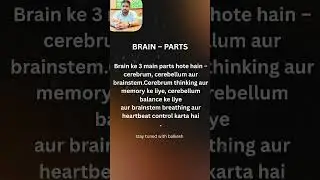 Brain ke 3 Parts | Cerebrum Cerebellum Brainstem | Nursing Short Notes #nursetalk