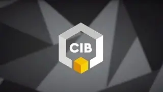 CIB agency overview video 2017