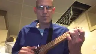 Risa Concert Travel Ukulele Review