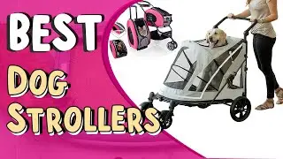 Best Dog Strollers _Top 5 Luxury Dog Strollers _ Dog Strollers Review _ Dog Strollers,