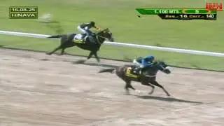 V140 | El De Pedro | Hip&oacute;dromo Nacional de Valencia | Reuni&oacute;n 16 | 2025