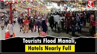 Tourists throng Manali as 80% hotels report high occupancy during peak season