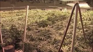 Push for medical marijuana kicks off SC legislative session