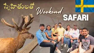 A relaxing weekend with friends in the Swedish country side | Sweden Travel Vlog | Indians in Sweden