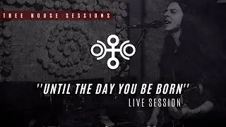 MARY'S SECRET BOX - UNTIL THE DAY YOU BE BORN | TREE HOUSE SESSIONS
