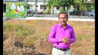 Amarvel Spray Treatment ( Marathi) done by Krishi Vigyan Kendra KVK , Ghatkhed  to control Cuscuta