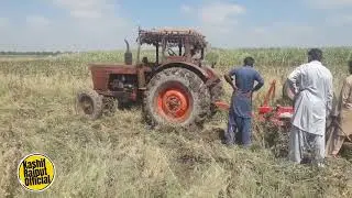 Old Belarus On Disc Harrow/Belarus On Harrow/Belarus Old Model/Old Model On Disc Harrow/Harrow/DISC.