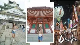 We went to a hedgehog cafe!! | Japan Travel Diary
