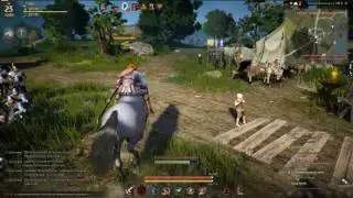 BlackDesert   или как Sayuke искал свою плотву
