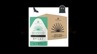 Agave Care Sustainable Agave Straws - 8.25