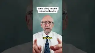 Dr Curtis&rsquo;s favourite natural antibiotics