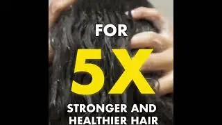 Frizz Control Bundle | Natural Haircare Products For Dull, Dry & Frizzy Hair | Conatural