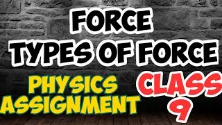 Force/ Types of Forces- Physics Assignment- Class 9