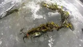 Ice Fishing on Tyler Lake