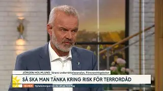 Terrorexperten: Tror inte det inträffar något attentat i närtid | Nyhetsmorgon | TV4 & TV4 Play