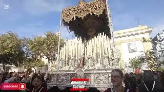 Salida Virgen la Piedad San Fernando 2025