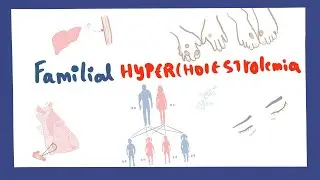 Short notes on Familial Hypercholesterolemia disorder
