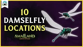 10 Damselfly Locations &ndash; Where to find Damselflies | Smalland