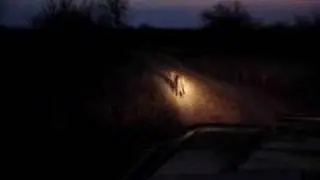 Leopard Hunting at Night at Kruger with B Ray Dinning