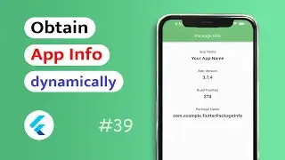 How to get App Info in Flutter App? (Android & IOS)