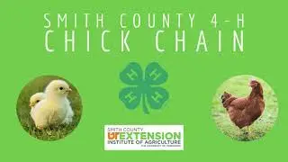 Smith County 4 H Chick Chain 2021