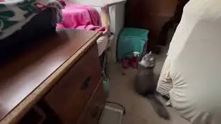 Special Visitor!