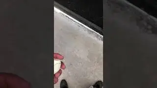 Quick egg fertility test