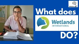 Wetlands International