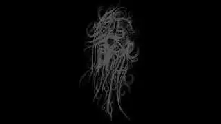 Life Underestimated (Re-Record) - Shroud of Distress