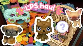 HUGE LITTLEST PET SHOP HAUL! Did I do good?