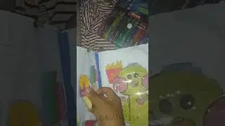 Libro CASERO del pato 