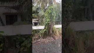 heavy rain in my hometown