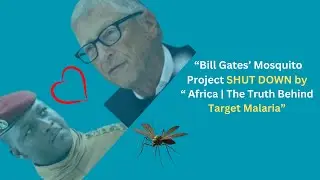 Tarore update |&ldquo;Bill Gates&rsquo; Mosquito Project SHUT DOWN by Africa | The Truth Behind Target Malaria&rdquo;