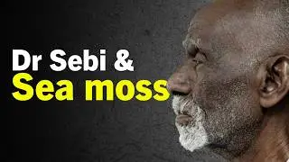 Почему доктор Себи доверился морскому мху