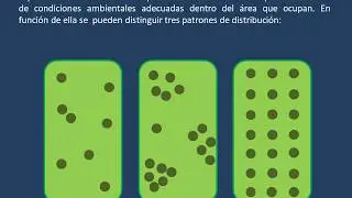 Distribuci&oacute;n Espacial