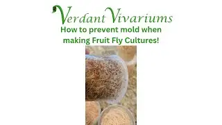 How to make Mold-Free Fruit Fly Cultures