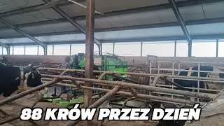Dzień kopytka....