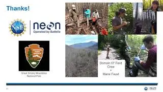 NEON in the Smokies with Sarah Szito